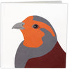Wildlife Garden - Kaarten 9 stuks mix 2