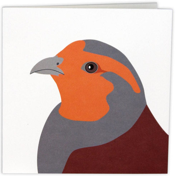Vogelkaarten Set van 9 – Wenskaarten met Vogelmotief | Wildlife Garden
