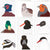 Vogelkaarten Set van 9 – Wenskaarten met Vogelmotief | Wildlife Garden