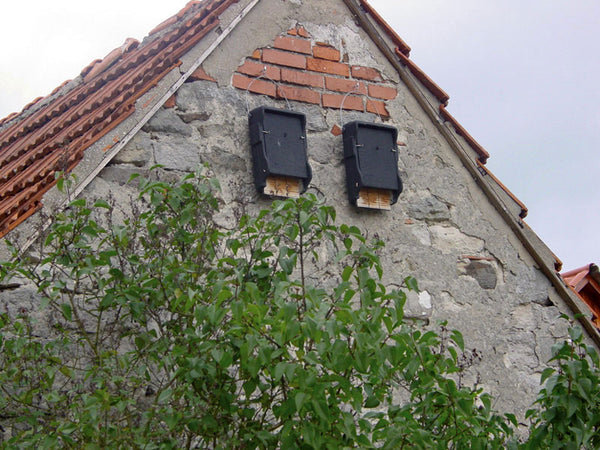 Platte vleermuiskast 1FF met houten achterwand – foto 3