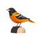 DecoBird Baltimore Wielewaal