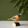 DecoBird Baltimore Wielewaal