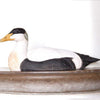 DecoBird - Eidergans