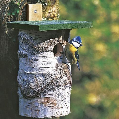 Koolmees Nestkast Berkenhout 32mm | CJ Wildlife