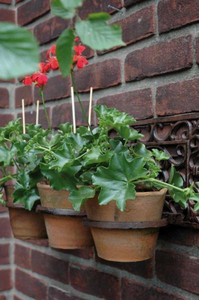 Bloempothanger Klassiek voor 3 Potten – Wandrek Victoriaans | Esschert Design
