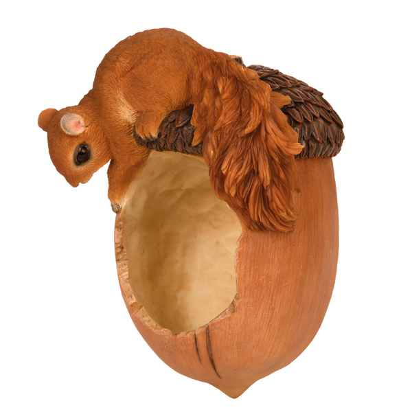 Voederschaal Eikel