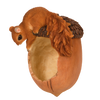 Voederschaal Eikel