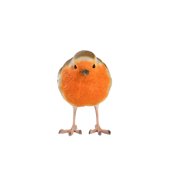 Roodborstje