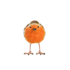Roodborstje
