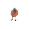 Vink