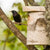 Vogelhuisje Berkenstam Groot 45mm | Tuinrijk