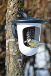 Vogelvoedersilo Multi FeedR 2-in-1 Antraciet/Wit | SingingFriend