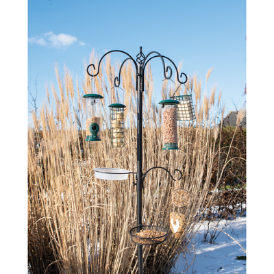 Buzzy Birds