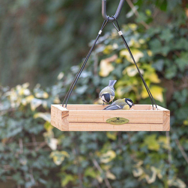 Vogelbescherming - Hangede voedertafel Aarhus