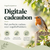 Vogelhuisjestore Cadeaubon | Digitaal cadeau voor vogelliefhebbers