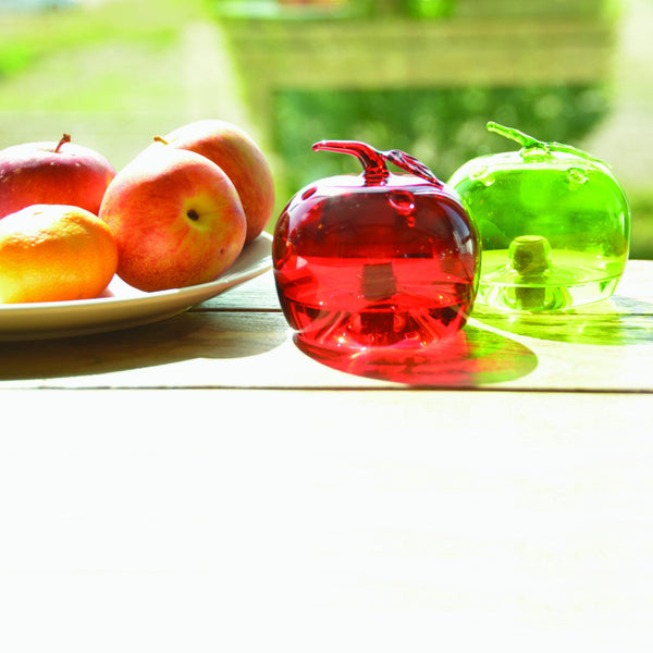 Fruitvliegenval appel