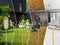 ClickUp! Vogelvoerhuis