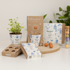 Grow kit "Voor jou!" met Hollandse Mix Zaadbommetje