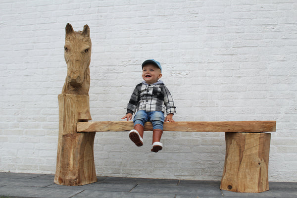 Sculpturen Bank paard