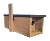Steenuil kast
