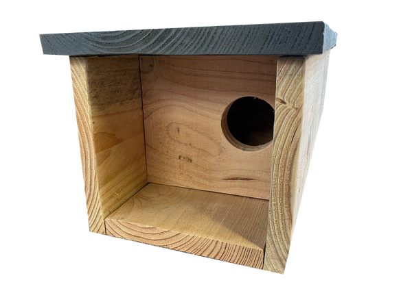 Steenuilenkast Hout 5° Hoek | Kooprijk