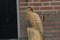 Houtsculptuur arend