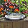 Aristotle Oasis vogelbad