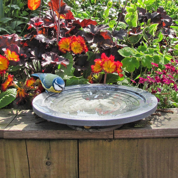 Aristotle Oasis vogelbad