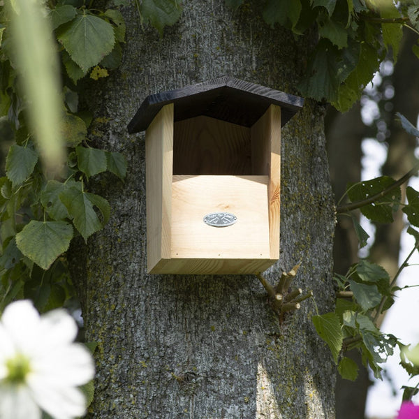 Roodborst Nestkast FSC Vurenhout | Esschert Design – foto 3