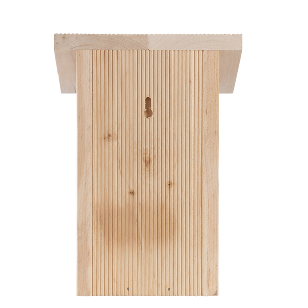 Pimpelmees Nestkast in Cadeaudoos | Esschert Design – foto 3