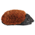 Voetenveger egel S
