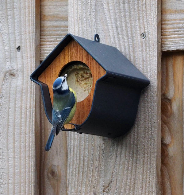 Pindakaaspothouder voor Vogels Evie – Hout Grijs | SingingFriend