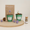 Grow kit "Bloemen!" met Laagbloeiende Mix Zaadbommetje