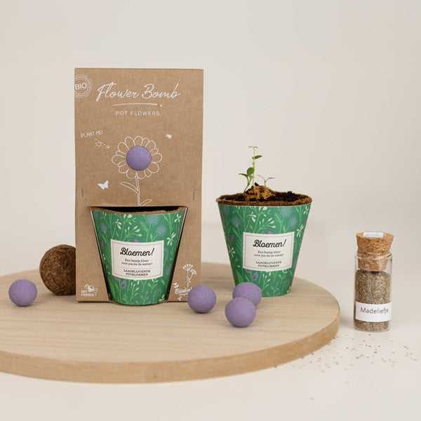 Grow kit "Bloemen!" met Laagbloeiende Mix Zaadbommetje
