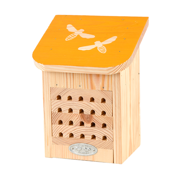 Diapositief bijenhuis