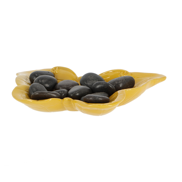 Bijen-en vlinderdrinkschaal vlinder