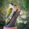 DecoBird - Groene Specht