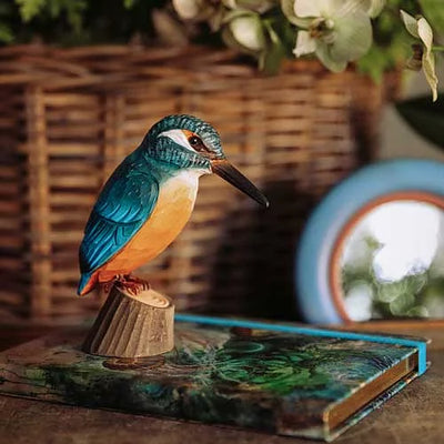 Wildlife Garden