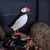 DecoBird -Papegaaiduiker