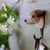 Wildlife Garden - KledinghaakJack Russell Terriër