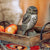 Vogelbeeldje Steenuil – Handgesneden Houten Decoratievogel | DecoBird Wildlife Garden