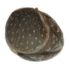 Vogelbeeldje Steenuil – Handgesneden Houten Decoratievogel | DecoBird Wildlife Garden