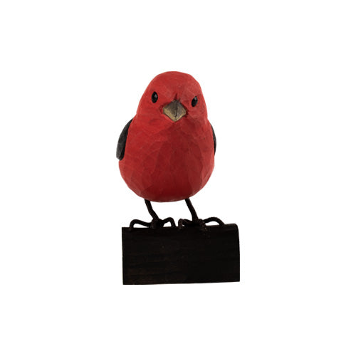 DecoBird - Zwartvleugeltangare