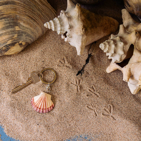 Sleutelhanger - Jakobsschelp