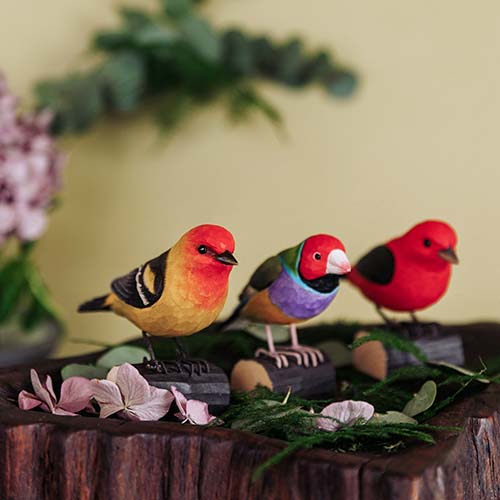 DecoBird -Louisianatangare