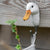 Kledinghaak Eend – Decoratieve Houten Wandhaak | Wildlife Garden