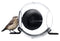 Born in Sweden BirdFeeder Kit