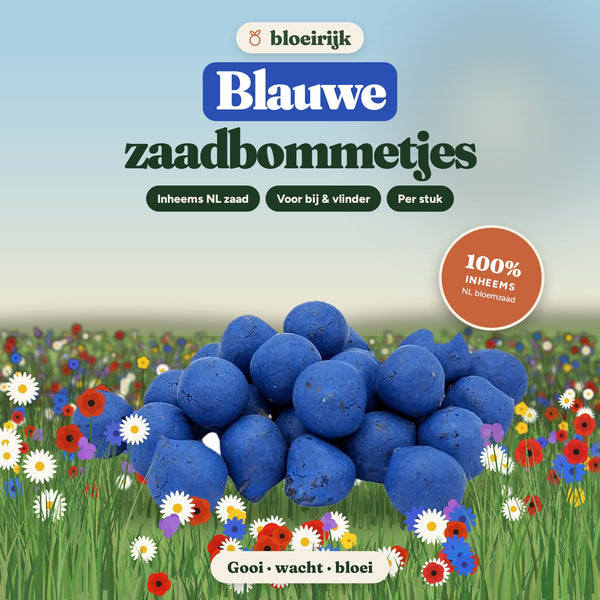 Blauwe zaadbommetjes van bloeirijk in een bloemenweide