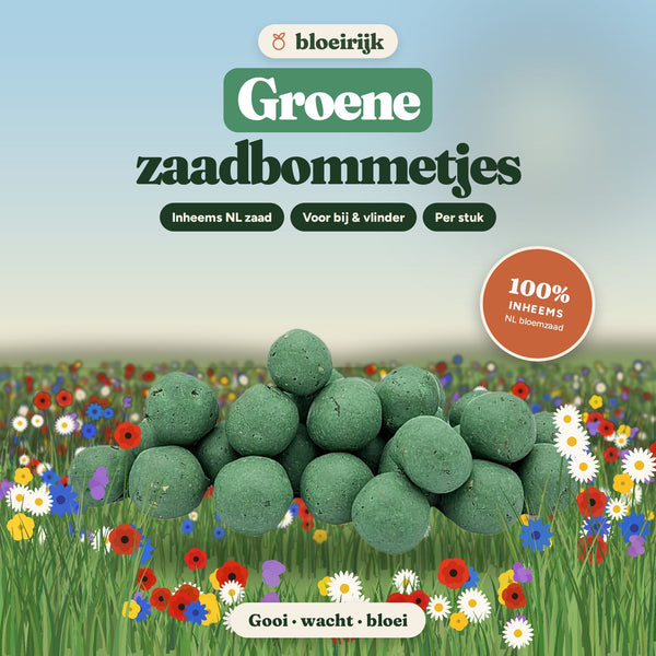 Groene zaadbommetjes van bloeirijk in een bloemenweide