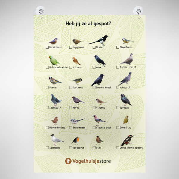 Vogel Afstreep-Poster A3 – Vogels Spotten voor het Raam | Inevo – foto 2